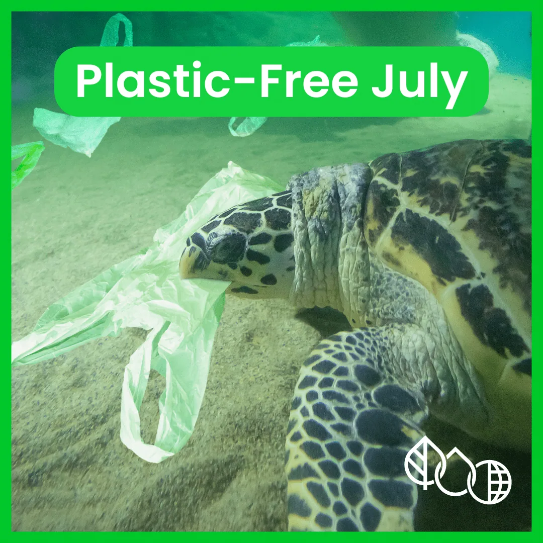 Make a difference this Plastic-Free July