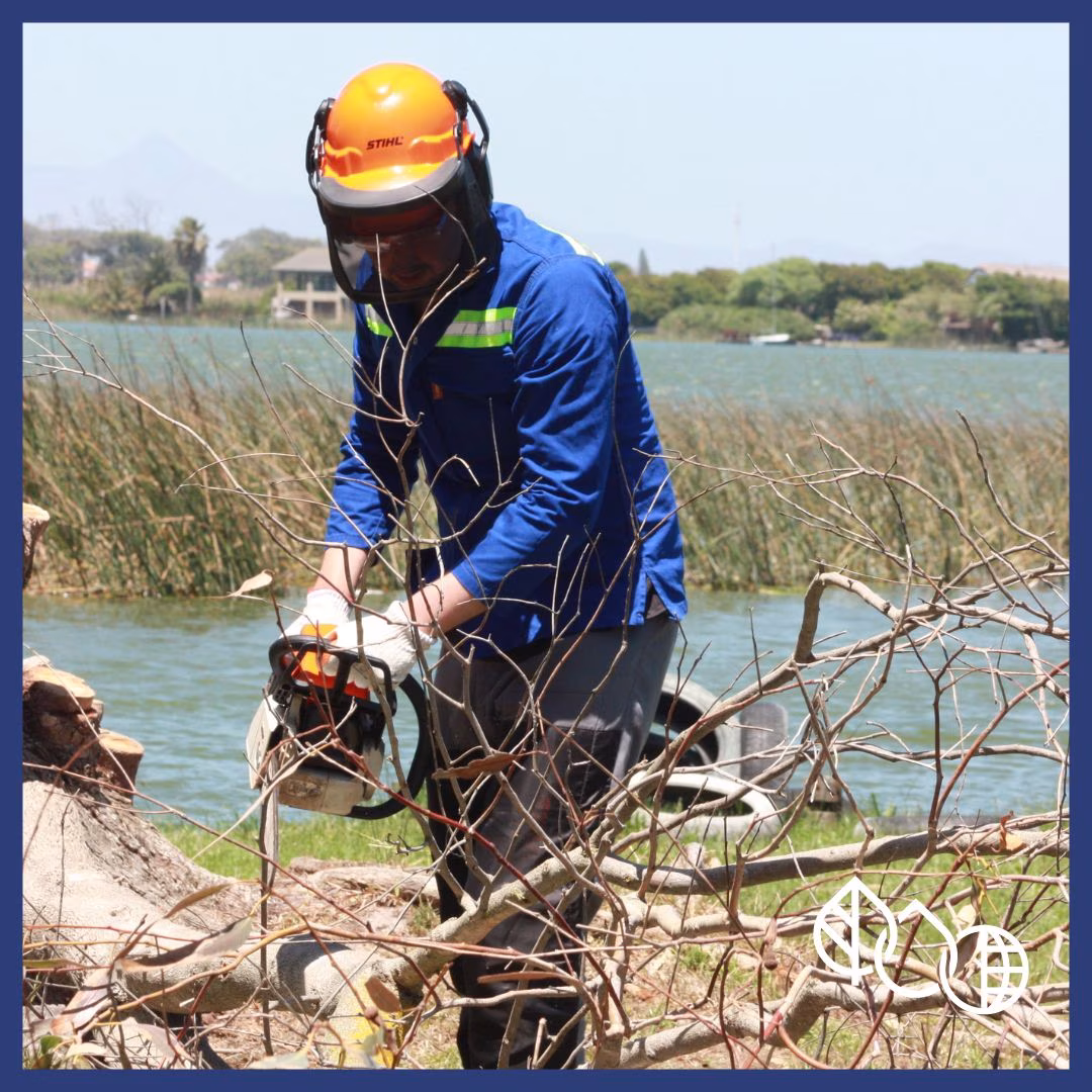 Chainsaw Training