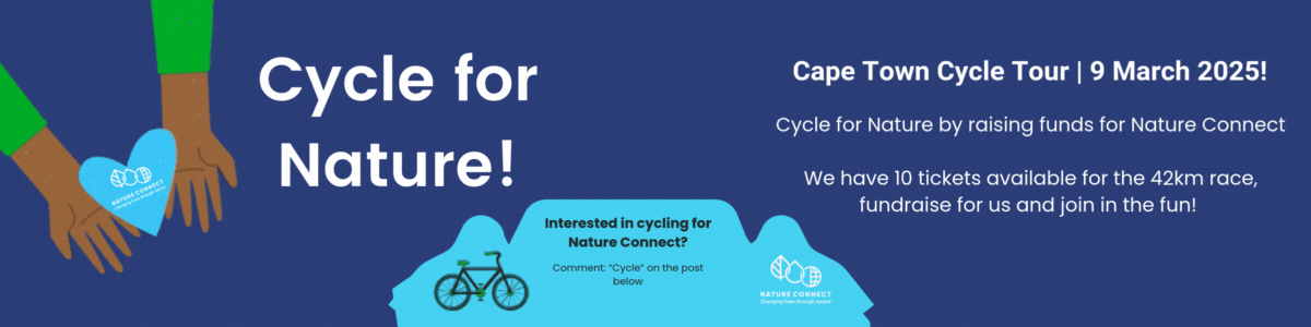 Cycle for Nature: Join the Cape Town Cycle Tour and Make an Impact, photo 2