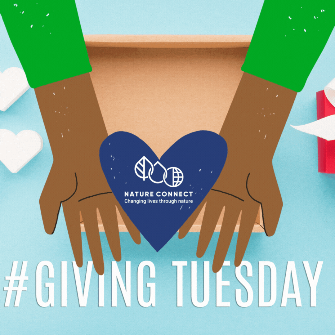 Giving Tuesday Campaign Image