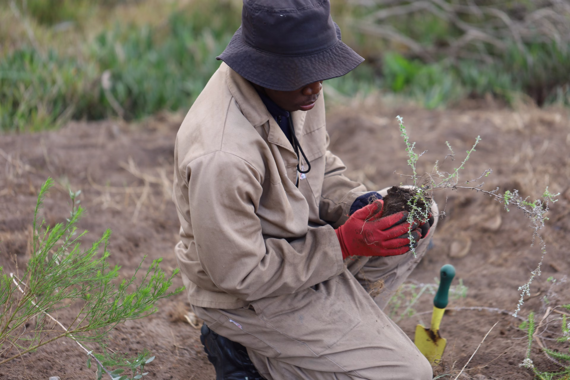 Why Supporting Conservation Students at WIL Matters