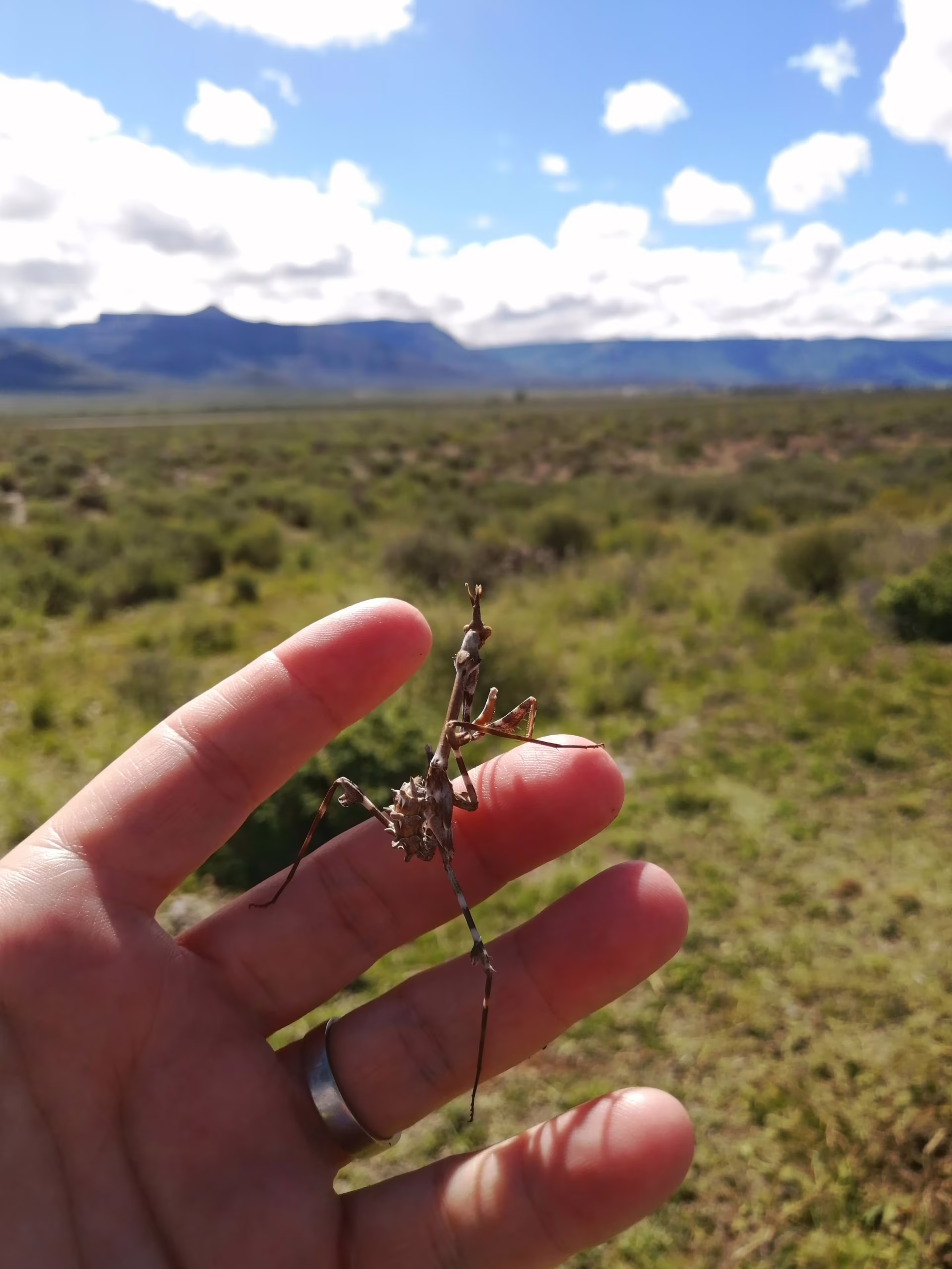 Cultivating Conservation and Community Hope in Calvinia, photo 6