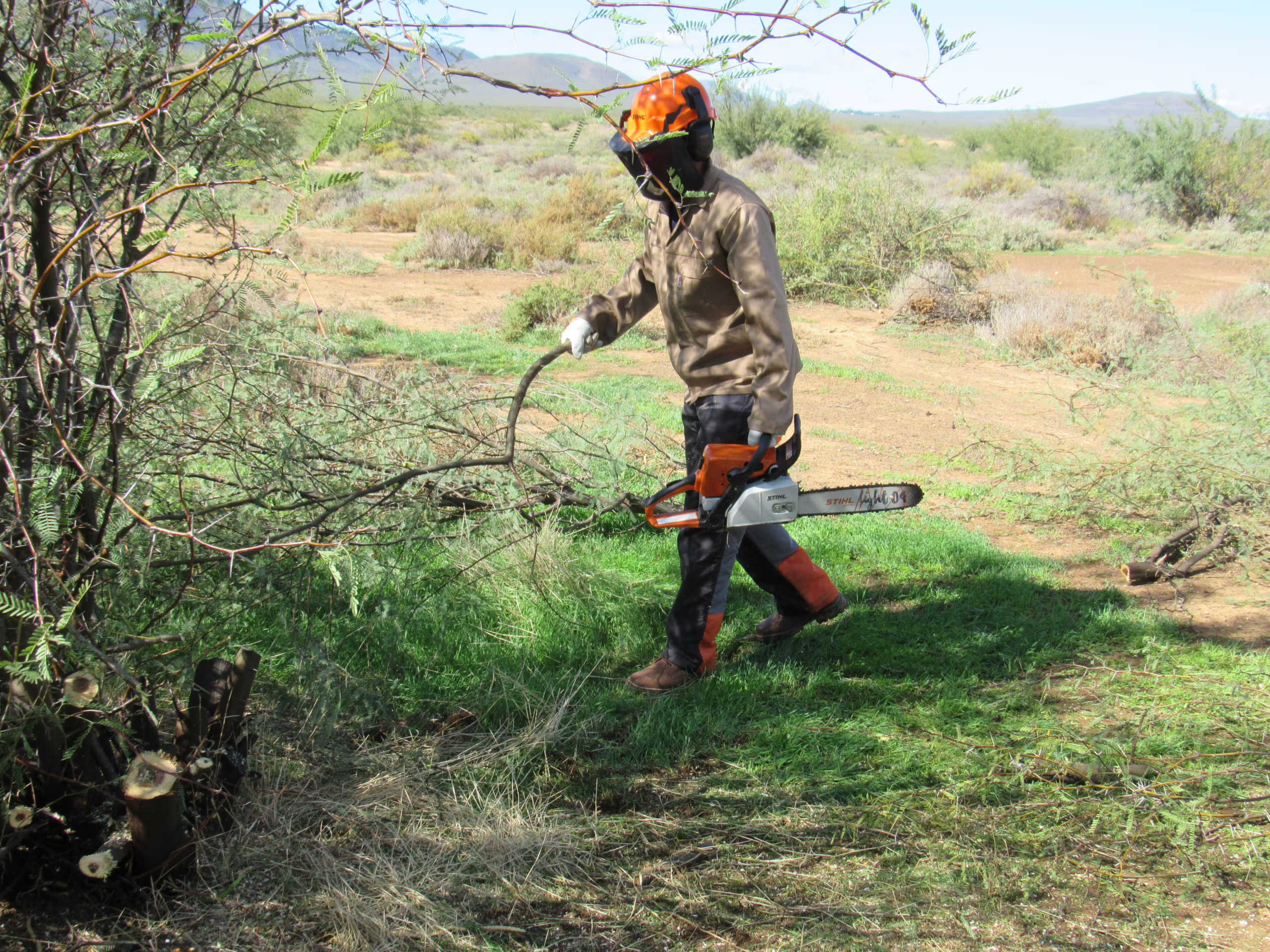 Cultivating Conservation and Community Hope in Calvinia, photo 4