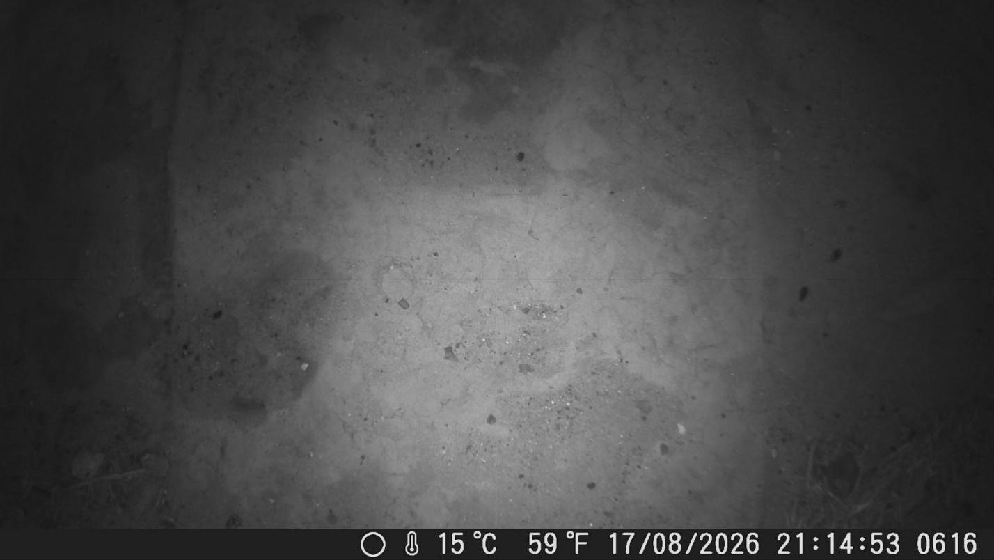 Camera 3R, Rondevlei end of tunnel 3, 17 August 2026 at 21:14:53: the tunnel floor is empty.