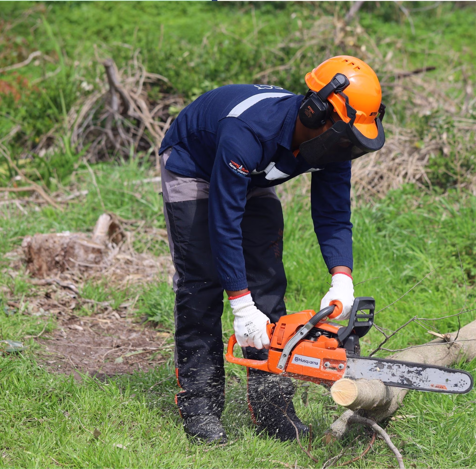Training and Opportunities, photo 3