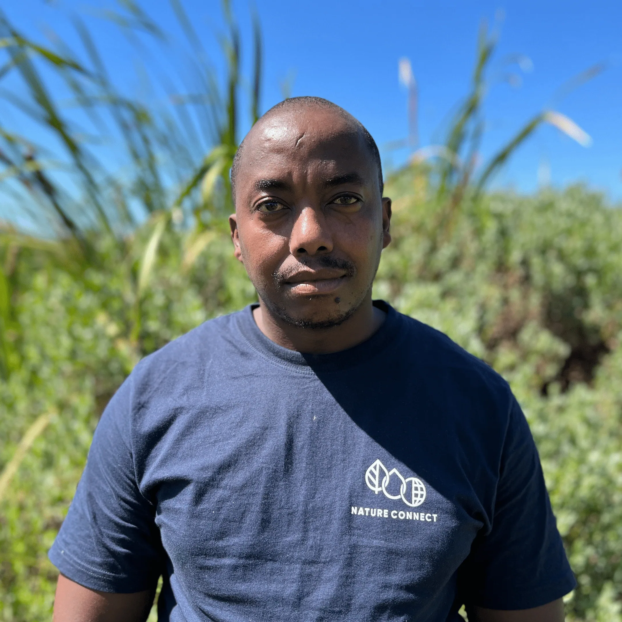 Lindile Masinyana