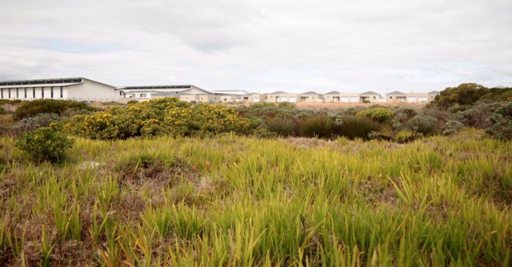 Muizenberg East biodiversity cluster