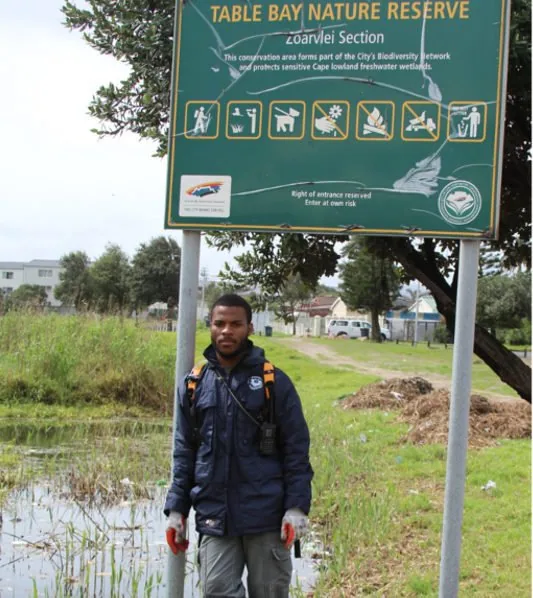 Zoarvlei wetland, Table Bay Nature Reserve