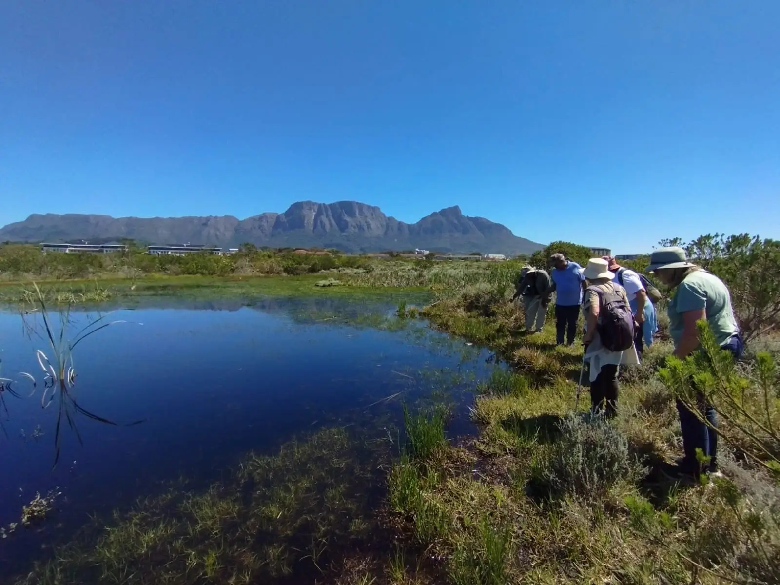Participants gather around one of the seasonal wetlands at KRCA during the Step into Spring guided walk