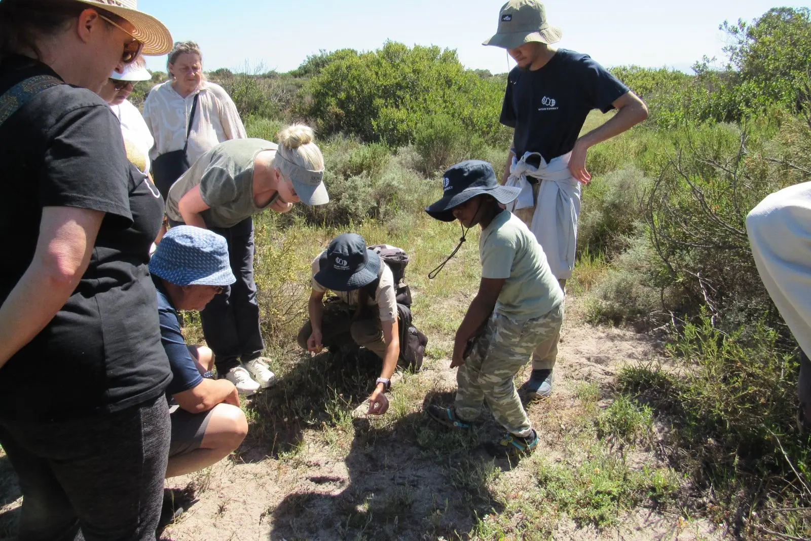 KRCA's conservation officer, Fayruz showing participants a beautiful Cape Bluebell flower