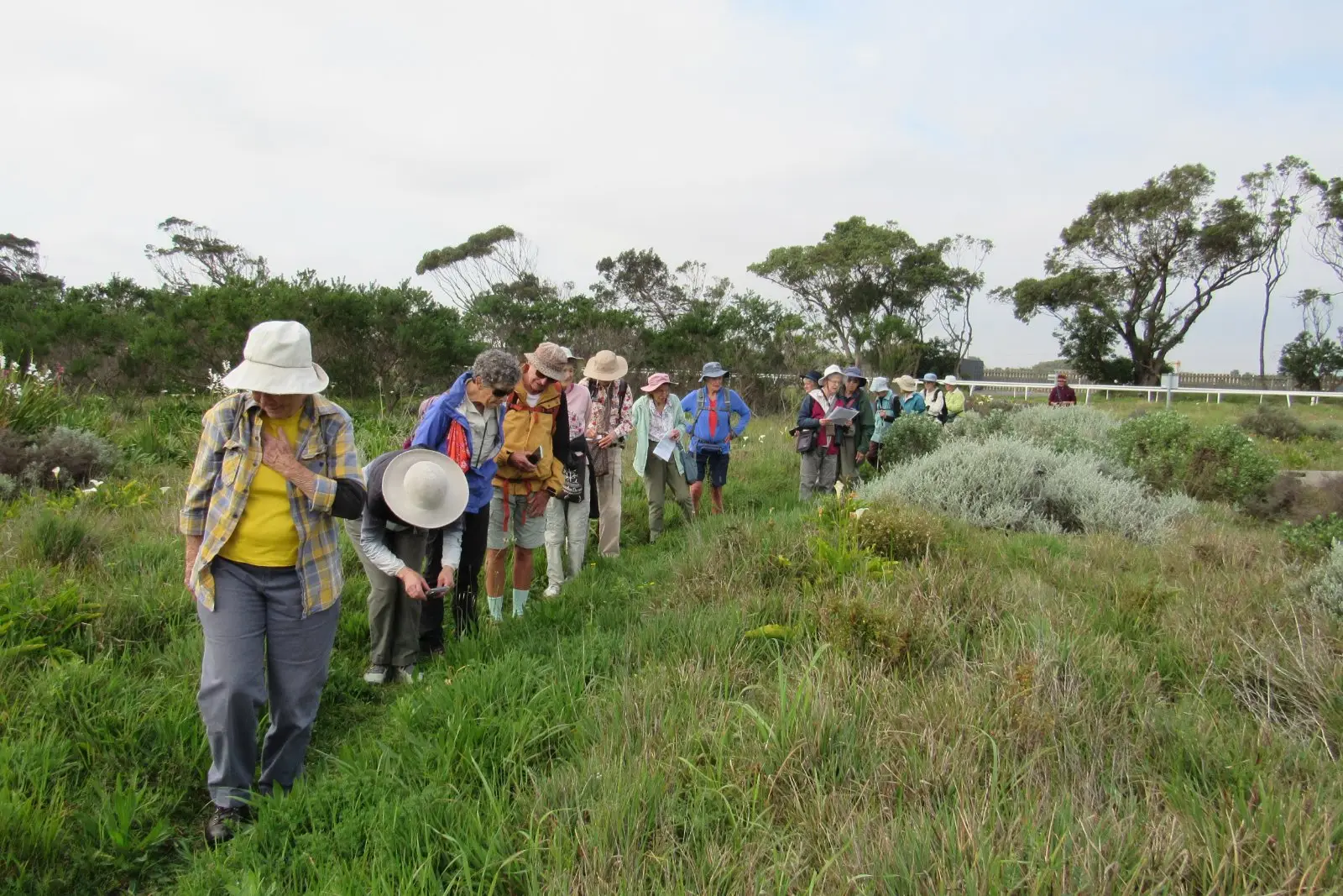 One of the private botanical walking groups visited KRCA to explore the field for sightings of Spring flowers
